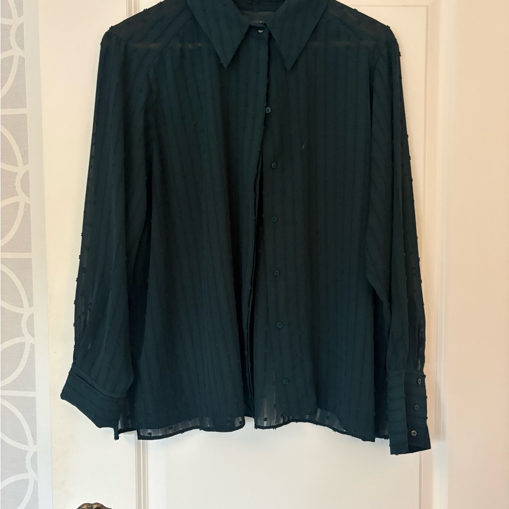 Zara Dark Teal Sheer Stripe Button-Down Blouse - NWOT